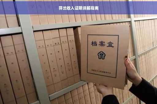 芬兰收入证明详解指南