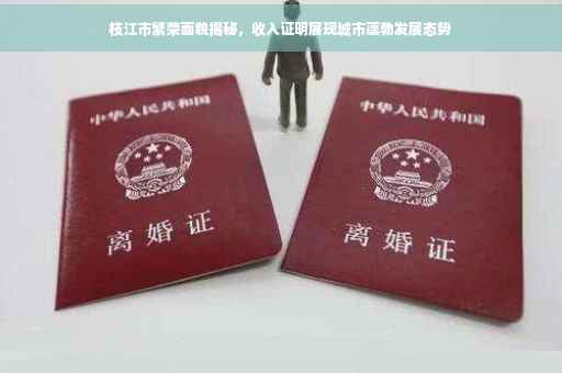 枝江市繁荣面貌揭秘，收入证明展现城市蓬勃发展态势