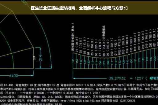 医生毕业证遗失应对指南，全面解析补办流程与方案?✨