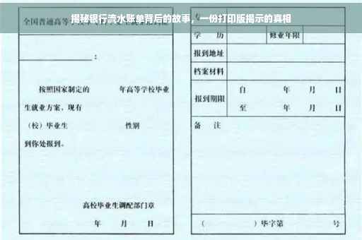 揭秘银行流水账单背后的故事，一份打印版揭示的真相