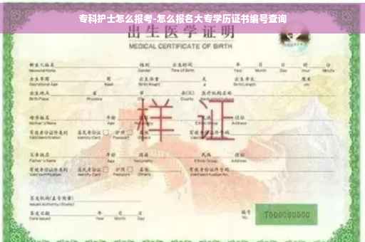 专科护士怎么报考-怎么报名大专学历证书编号查询