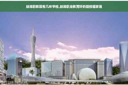 蚌埠职教园有几所学校,蚌埠职业教育好的院校哪家强