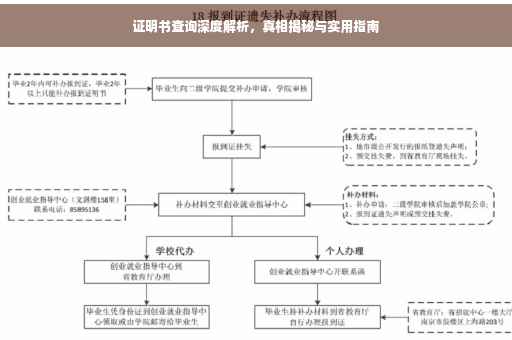 证明书查询深度解析，真相揭秘与实用指南