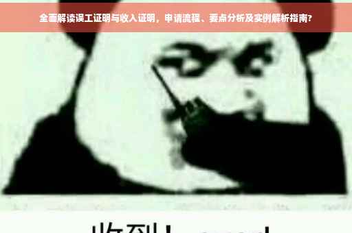 全面解读误工证明与收入证明，申请流程、要点分析及实例解析指南?