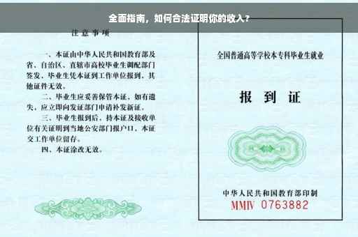 全面指南，如何合法证明你的收入?