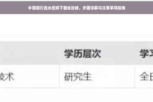 中国银行流水视频下载全攻略，步骤详解与注意事项指南