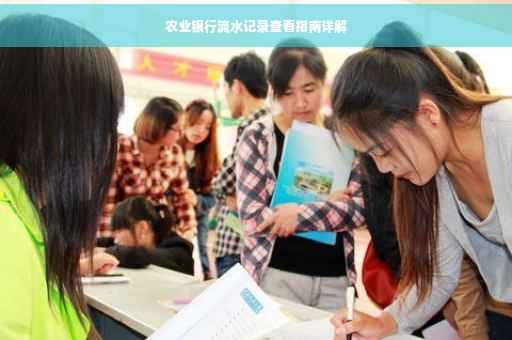 农业银行流水记录查看指南详解
