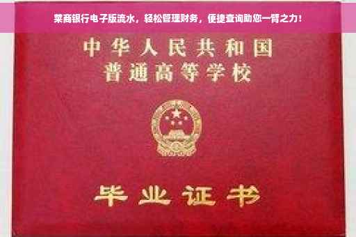 莱商银行电子版流水，轻松管理财务，便捷查询助您一臂之力！