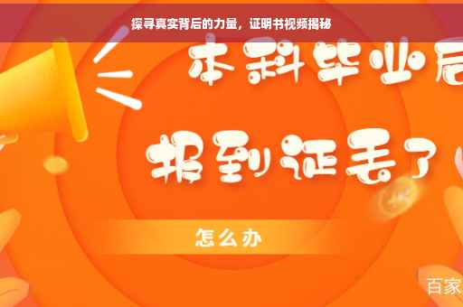 探寻真实背后的力量，证明书视频揭秘