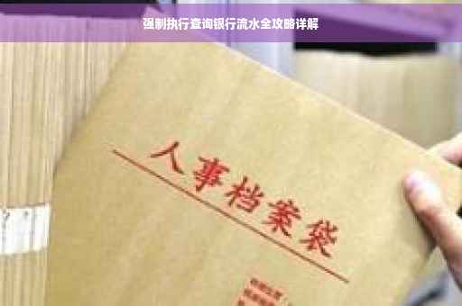 强制执行查询银行流水全攻略详解