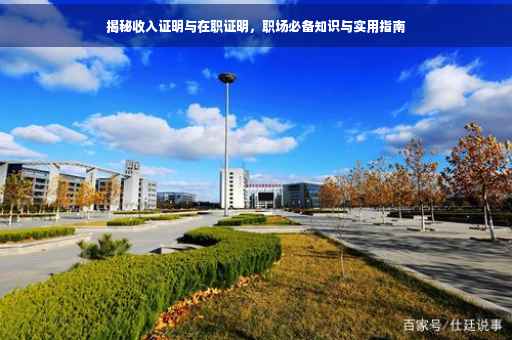 揭秘收入证明与在职证明，职场必备知识与实用指南