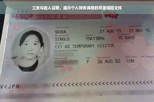 工资与收入证明，揭示个人财务真相的双重保障文件
