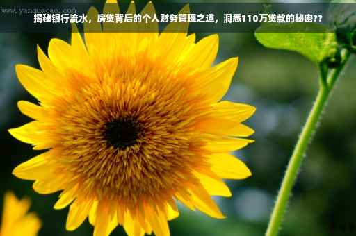 揭秘银行流水，房贷背后的个人财务管理之道，洞悉110万贷款的秘密??