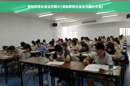 普林斯顿毕业证书图片(普林斯顿毕业证书图片大全)