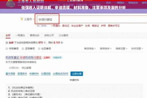 低保收入证明详解，申请流程、材料准备、注意事项及案例分析