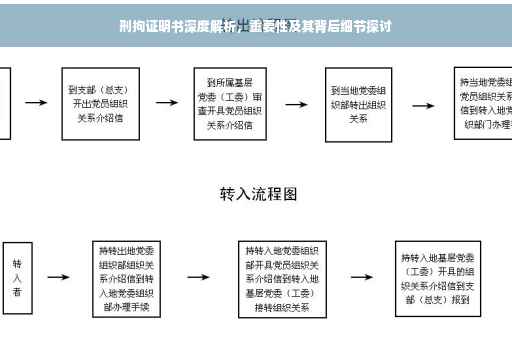 刑拘证明书深度解析，重要性及其背后细节探讨