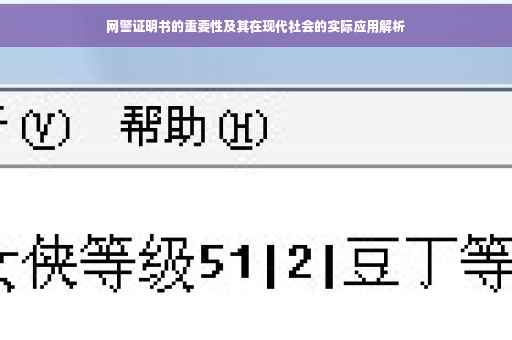 网警证明书的重要性及其在现代社会的实际应用解析