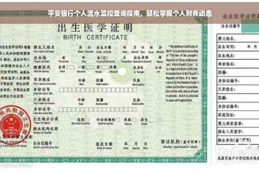 平安银行个人流水监控查询指南，轻松掌握个人财务动态