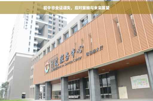 初中毕业证遗失，应对策略与未来展望