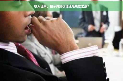 收入证明，揭示真实价值还是焦虑之源？