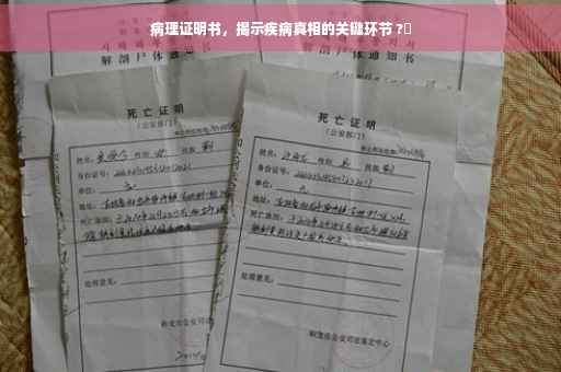 病理证明书，揭示疾病真相的关键环节 ?✨