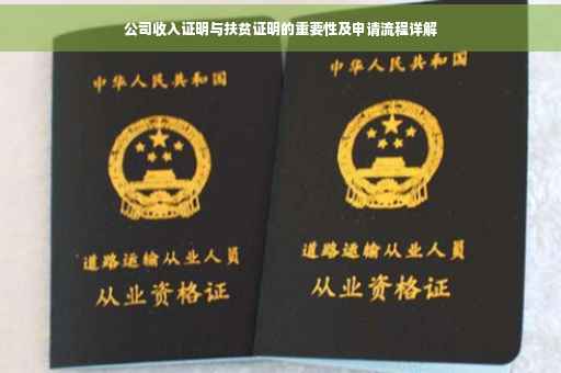 公司收入证明与扶贫证明的重要性及申请流程详解