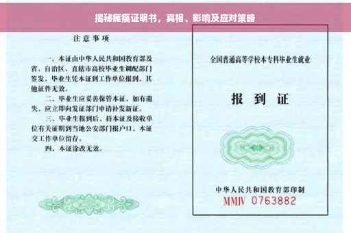 揭秘瘫痪证明书，真相、影响及应对策略