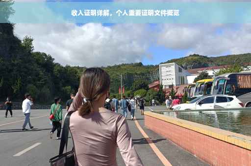 收入证明详解，个人重要证明文件概览