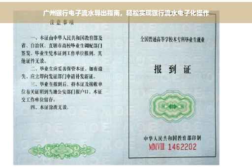 广州银行电子流水导出指南，轻松实现银行流水电子化操作