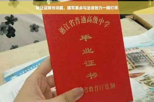 转让证明书详解，撰写要点与法律效力一网打尽