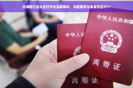 交通银行流水支付平台深度解析，功能概览与重要性探讨??