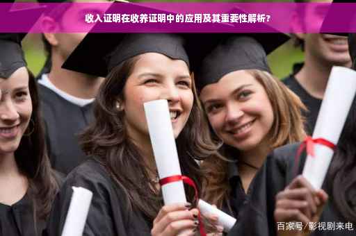 收入证明在收养证明中的应用及其重要性解析?