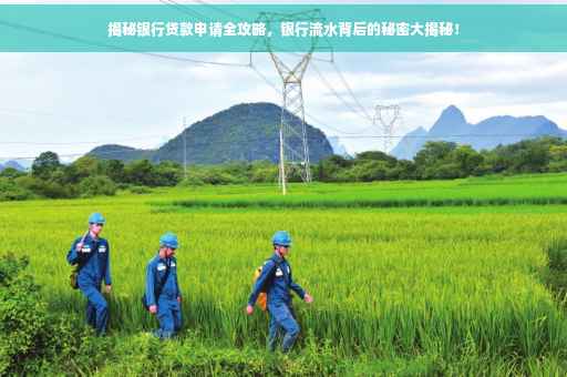 揭秘银行贷款申请全攻略，银行流水背后的秘密大揭秘！