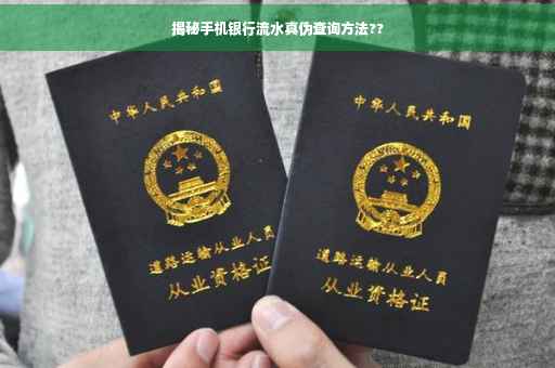 揭秘手机银行流水真伪查询方法??