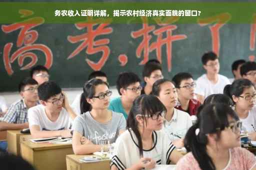 务农收入证明详解，揭示农村经济真实面貌的窗口?