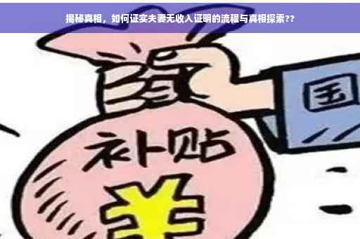 揭秘真相，如何证实夫妻无收入证明的流程与真相探索??
