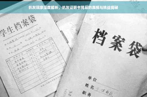 扒灰现象深度解析，扒灰证明书背后的真相与挑战揭秘