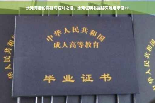水淹背后的真相与应对之道，水淹证明书揭秘灾难启示录??