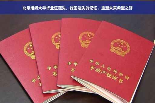北京培黎大学毕业证遗失，找回遗失的记忆，重塑未来希望之路