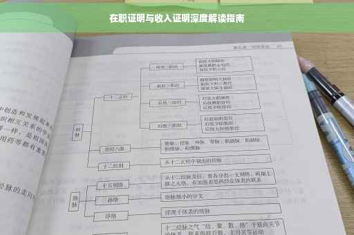 在职证明与收入证明深度解读指南