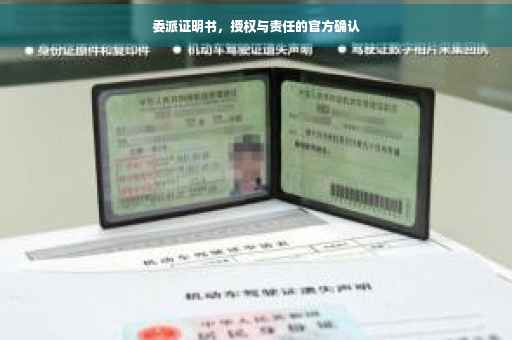 委派证明书，授权与责任的官方确认