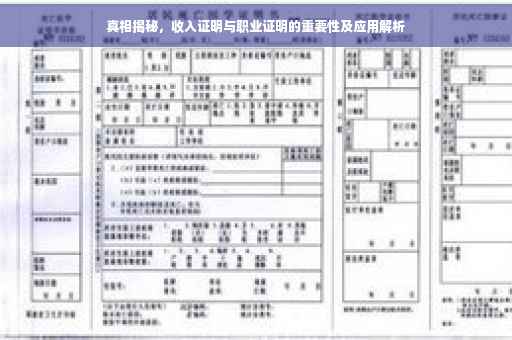 真相揭秘，收入证明与职业证明的重要性及应用解析