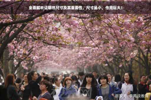 全面解析证明书尺寸及其重要性，尺寸虽小，作用巨大！