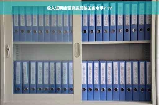 收入证明能否真实反映工资水平？??