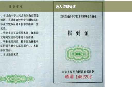 收入证明详述