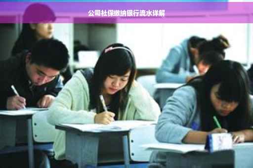 公司社保缴纳银行流水详解