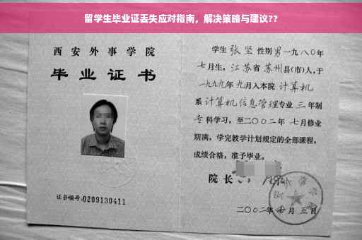 留学生毕业证丢失应对指南，解决策略与建议??