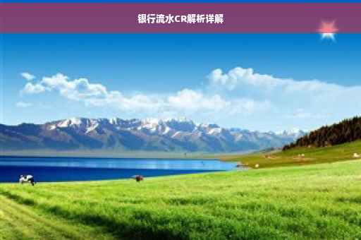 银行流水CR解析详解