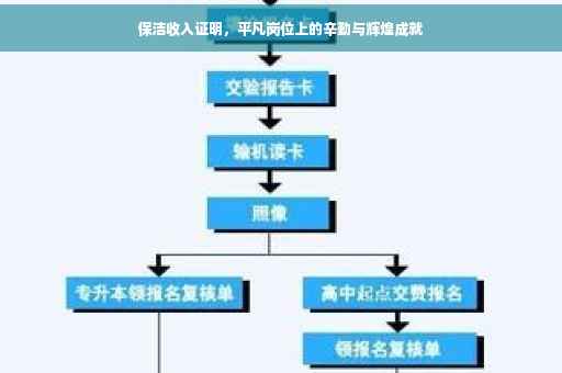 保洁收入证明，平凡岗位上的辛勤与辉煌成就