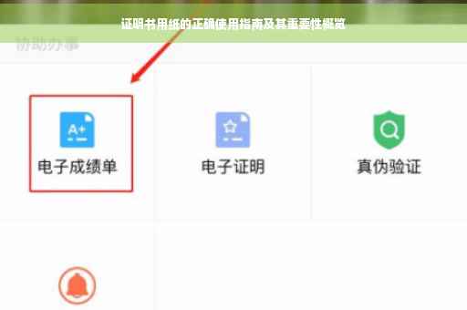 证明书用纸的正确使用指南及其重要性概览